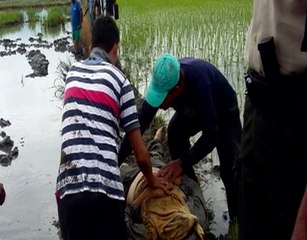 Agricultor murió aplastado por un tractor en la provincia de Los Ríos