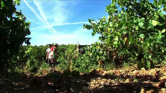 LA REVUE : La revue : Michel Daudet/Directeur de la Coopérative de St-Julien les Martigues