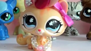 LPS: All of my LPS customs! (Old and Outdated)