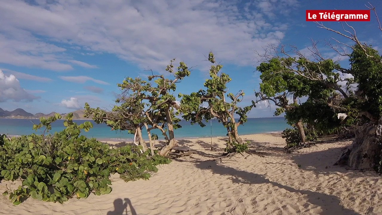 Mer des Caraïbes. Un catamaran, des îles, du soleil, des tortues...