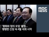 '평화와 정의 모임' 출범…팽팽한 긴장 속 4월 국회 시작 / MBC