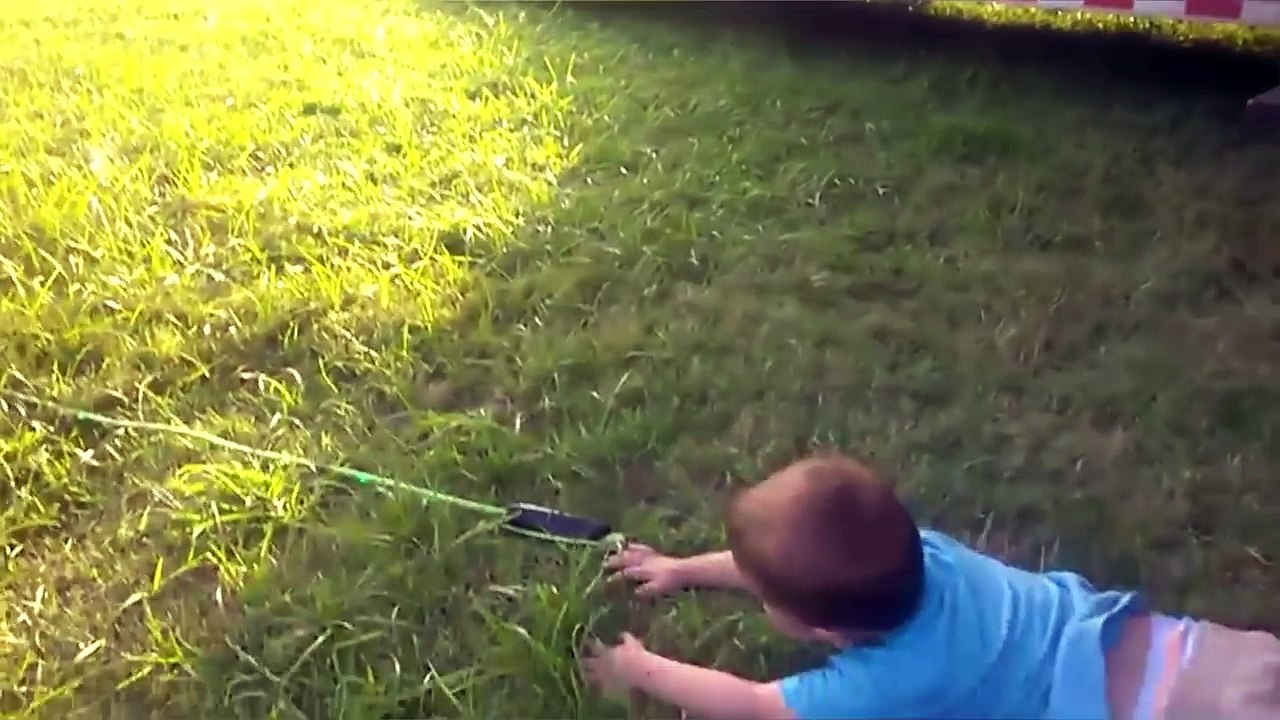 The Funniest Pets Vs Kids & Babies Fail Compilation - Top Funny Pet Videos