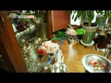 [Haha Land 2] 하하랜드2 -A parrot with a horny body for reasons unknown 20180328