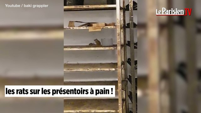 Des rats courent sur les présentoirs du rayon boulangerie de Carrefour Evry 2