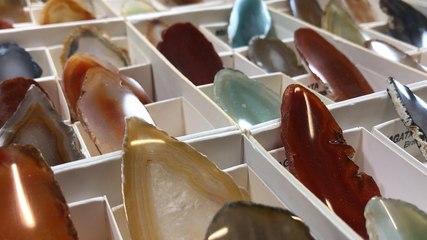 Expo-vente de minéraux et fossiles