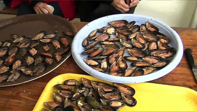 LA REVUE : La revue : Emile Ladsous/Pdt du comité des Fêtes de Sausset les Pins