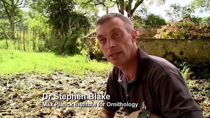 David Attenboroughs - Galapagos S01 Special