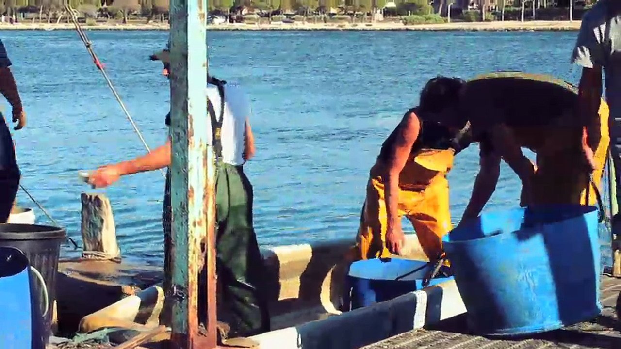 VUE D'ICI : Vue d'ici : Montre moi ton étang n°1