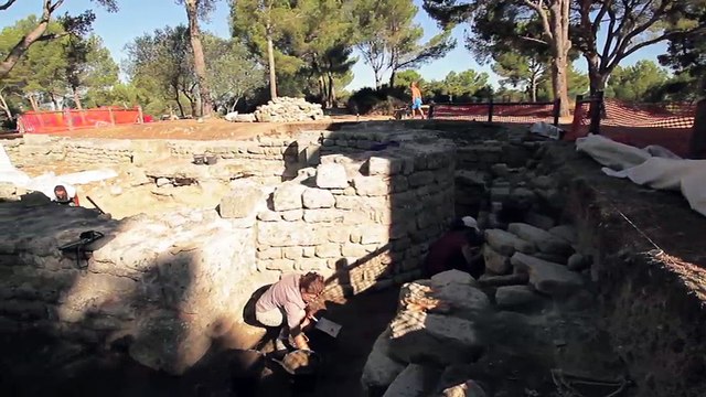 VUE D'ICI : Vue d'ici : Montre moi ton étang n°6