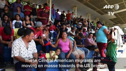 Migrant caravan targeted by Trump rests at Mexican stadium