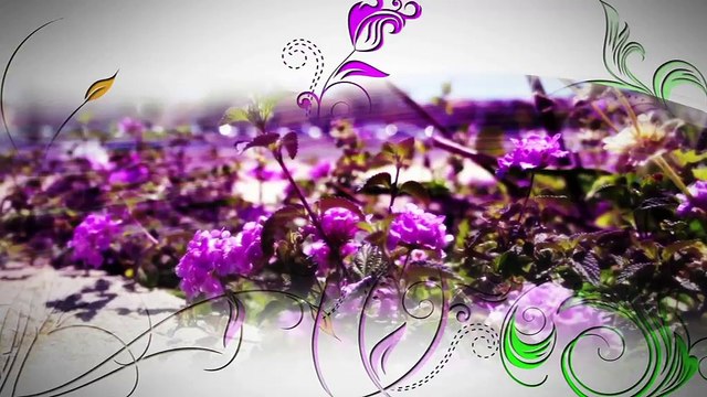 A FLEUR DE VILLE : A Fleur de Ville à Istres