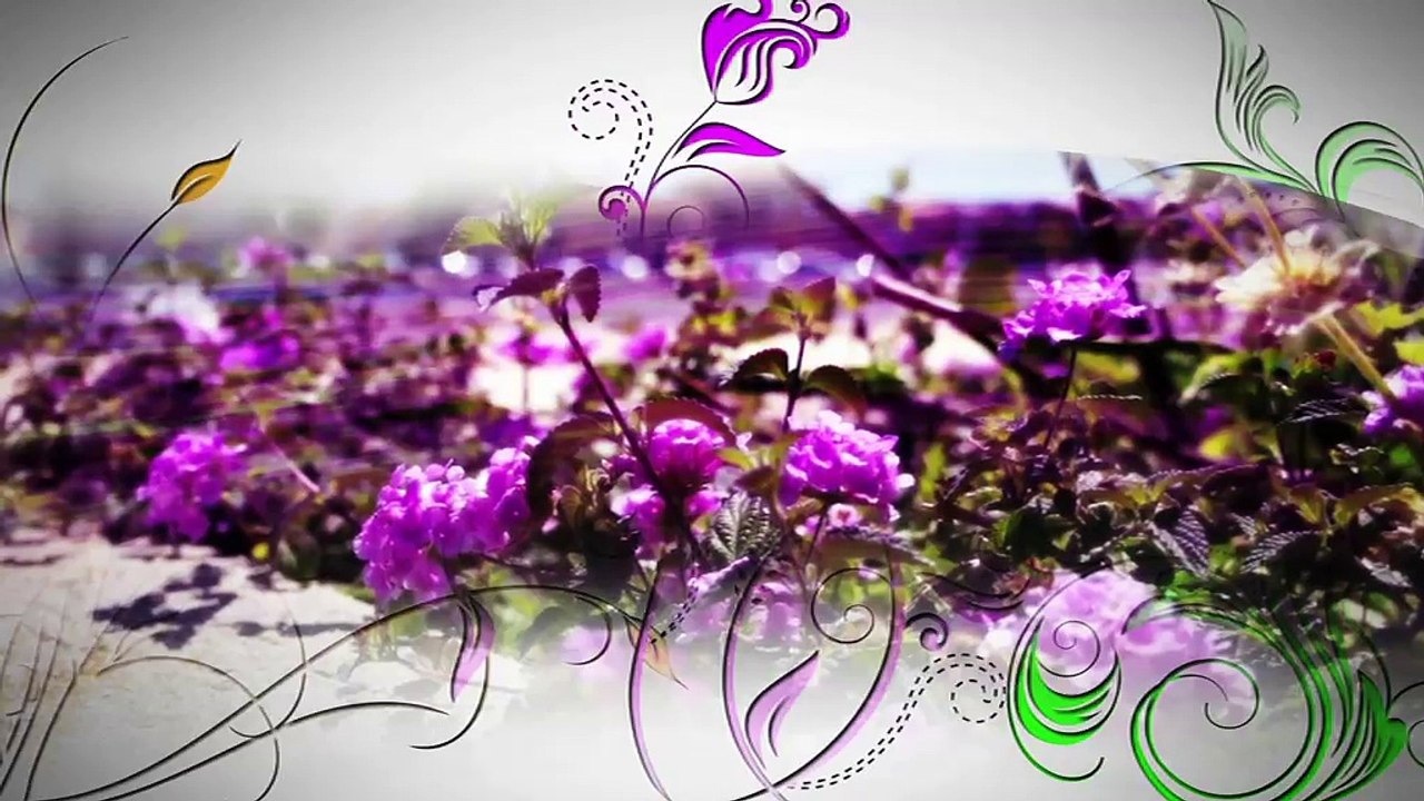 A FLEUR DE VILLE : A Fleur de Ville à Istres