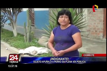 Chimbote: violento sujeto apuñaló a perro en la calle