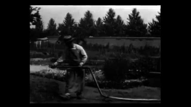 Le Jardinier (lArroseur arrosé) (1895)