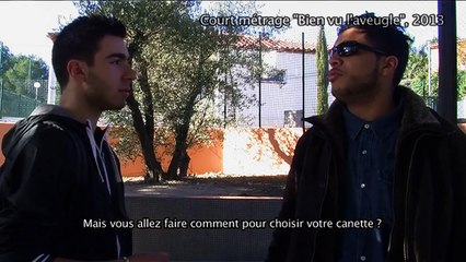 LA REVUE : La revue : Young Perron/FESTIhandiVALIde