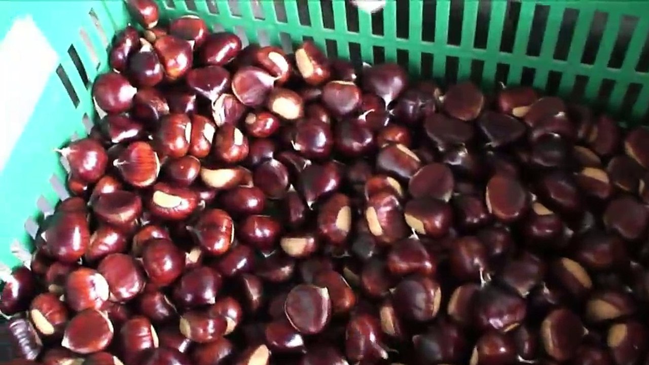 LE GRAND FORUM : Le Grand Forum 23 03 15