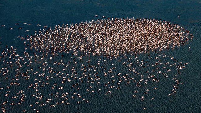 LA REVUE : La revue : Jean Paul Gay/Frédéric Lamoureux/Festival de la Camargue