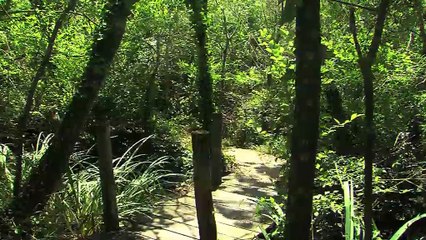 LE GRAND FORUM : Le Grand Forum 19 06 15