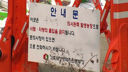 경기 김포서 두 번째 '구제역 A형' 확진 / YTN