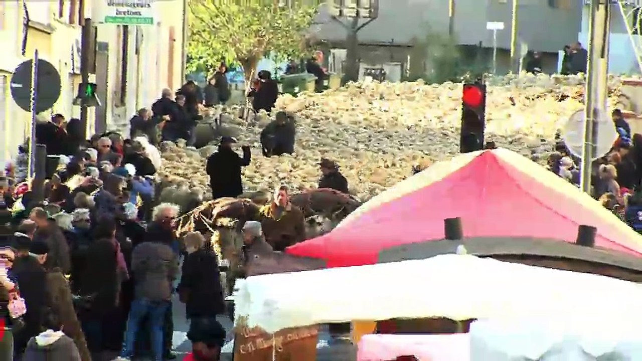 LA REVUE : La revue : Jean Claude Louis/Fête des bergers/Istres