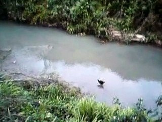 Gezza's Stream: boy racers