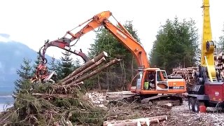 Amazing Modern Mega Machines Industrial Cableway Crane Woodwork Sawmill Wood Timber Tror Saw