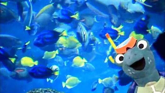 baby.einstein-neptune - video dailymotion