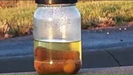 Mysterious Pickle Jar Keeps Popping Up on Missouri Highway Ramp