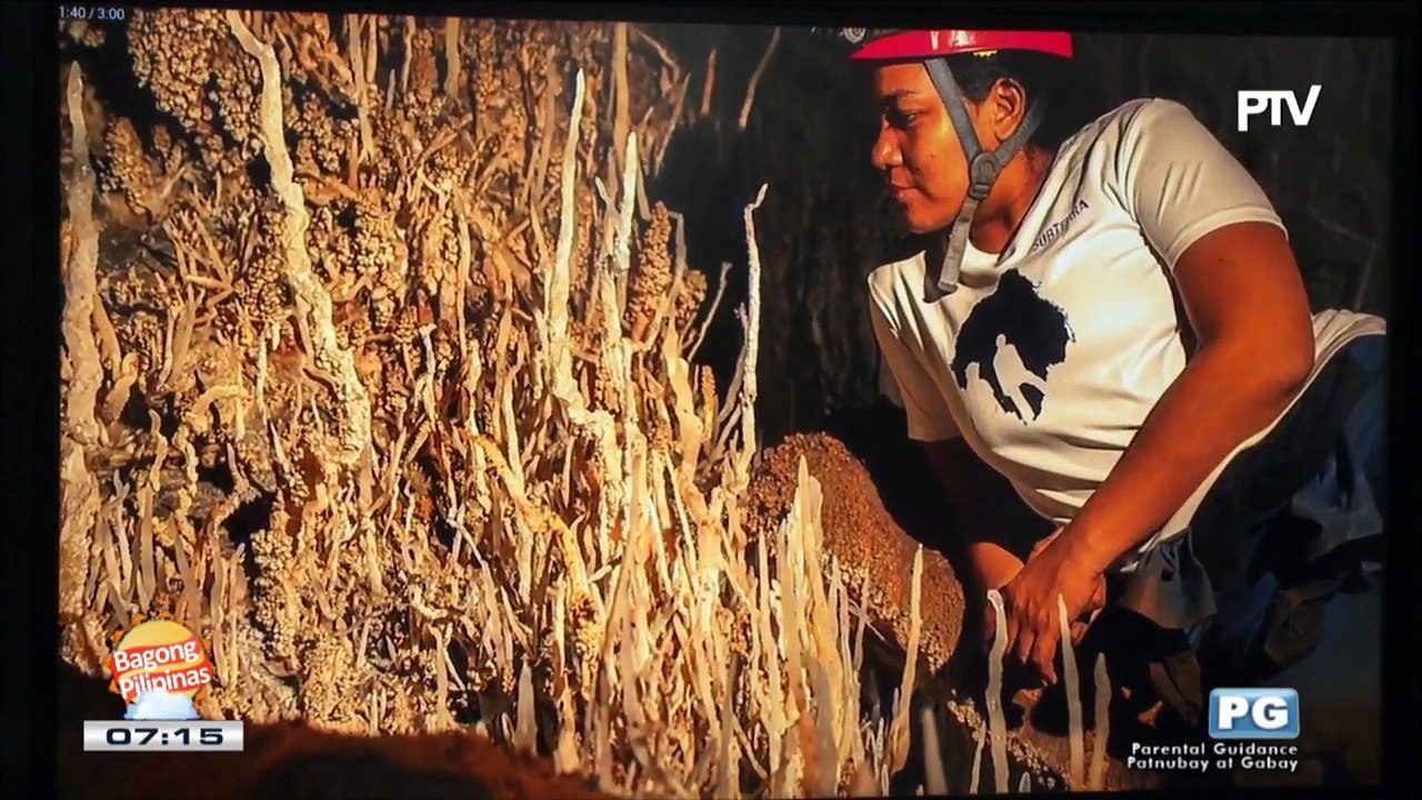 WWW: DOT Launching of the first semi-technical books on Philippine caves