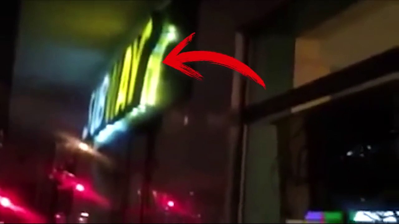 Unicornios Captados En Cámara En La Vida Real - Wasted Wallpaper