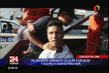 Cercado: capturan a delincuente que arrebató celular a escolar