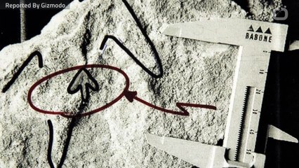 Jurassic-Era Dino Footprints Uncovered in Scotland's Isle Of Skye