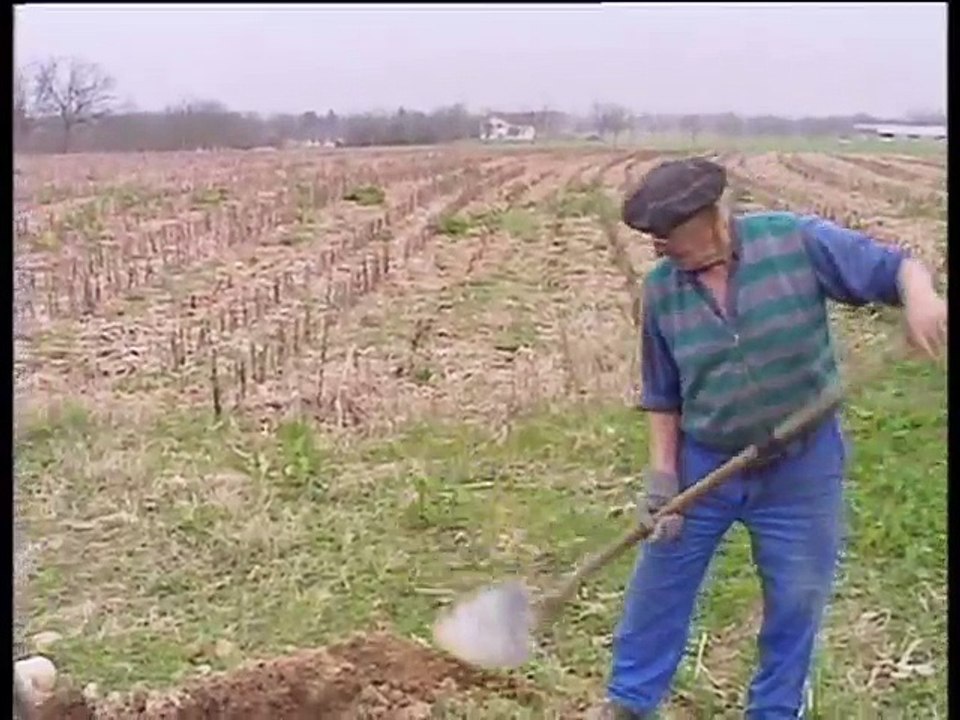 Une vie de planards