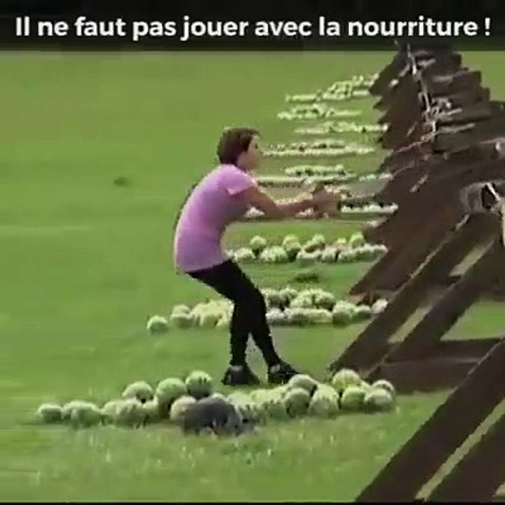 watermelon launch competition - funny videos