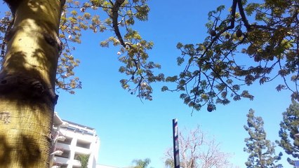 Я и папа (продолжение)