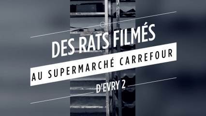 Des rats au rayon boulangerie du supermarché Carrefour d'Evry2