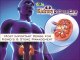 Ayurvedic Kidney Stone Syrup ~ AVG Kidney and stone care