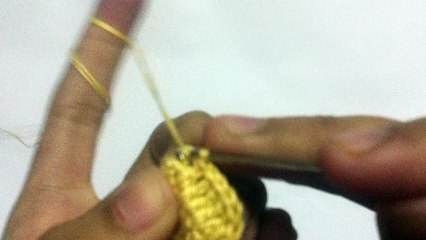 How to Crochet Fish Applic