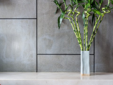 Maison : 3 idées pour une déco vegan et respectueuse de l'environnement