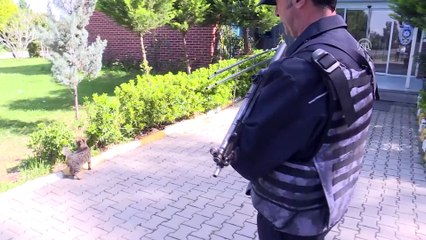 Sokak hayvanlarına polis şefkati - İZMİR