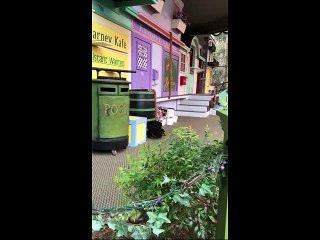 Evcil Hayvanlarla Domino Hazırlamak