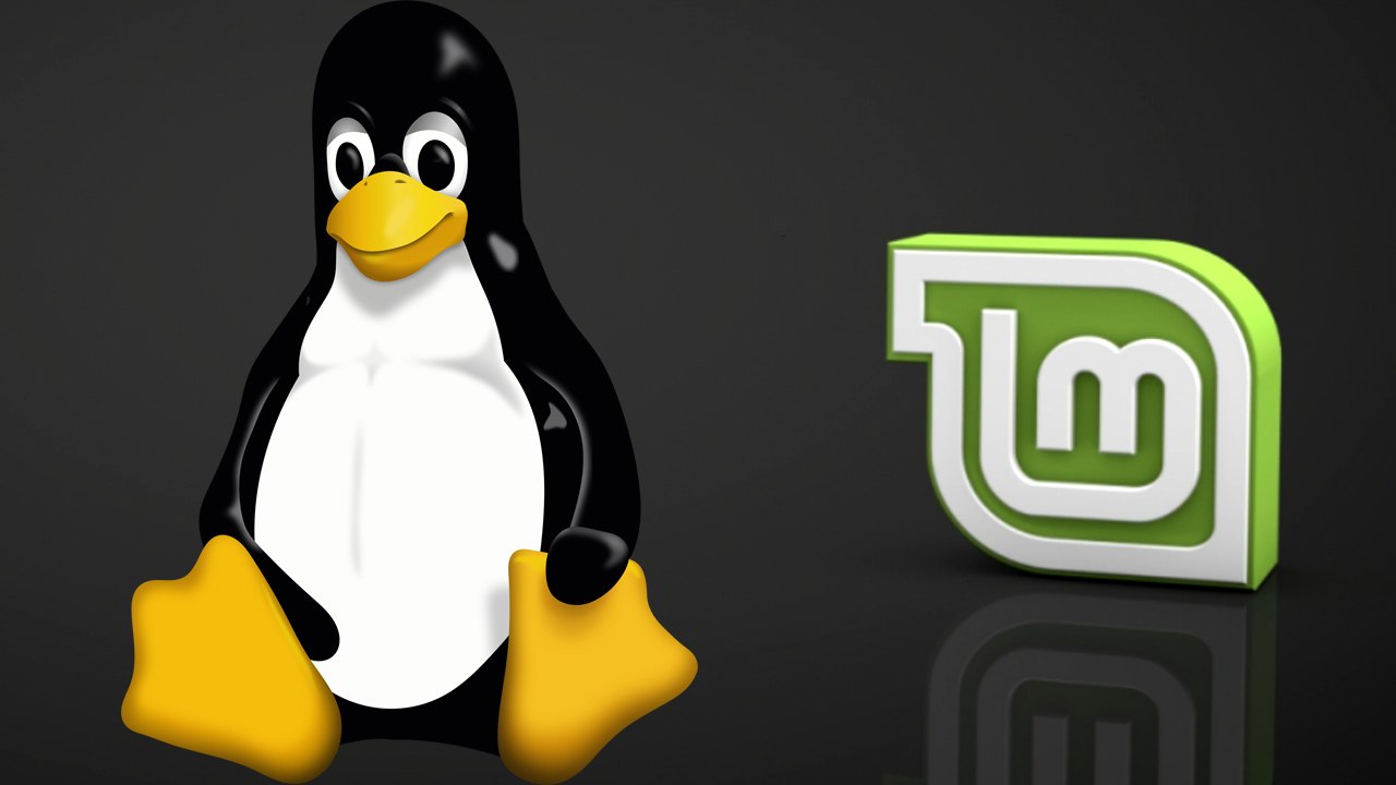 [TUT] Linux Mint - Programme installieren [4K | DE]