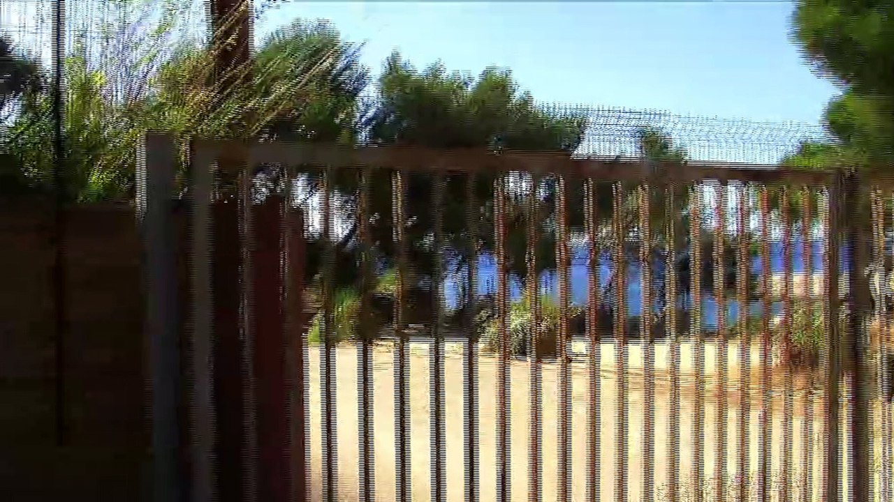 LA QUOTIDIENNE - LE RENDEZ-VOUS : La Quotidienne - Le RDV Camping Paradis 07 12 16