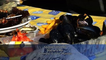 LA QUOTIDIENNE - LE RENDEZ-VOUS : La Quotidienne - Le RDV Sorties 13 01 17