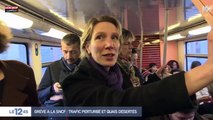 Grève SNCF : En colère, des voyageurs entrent dans le train par la fenêtre (Vidéo)