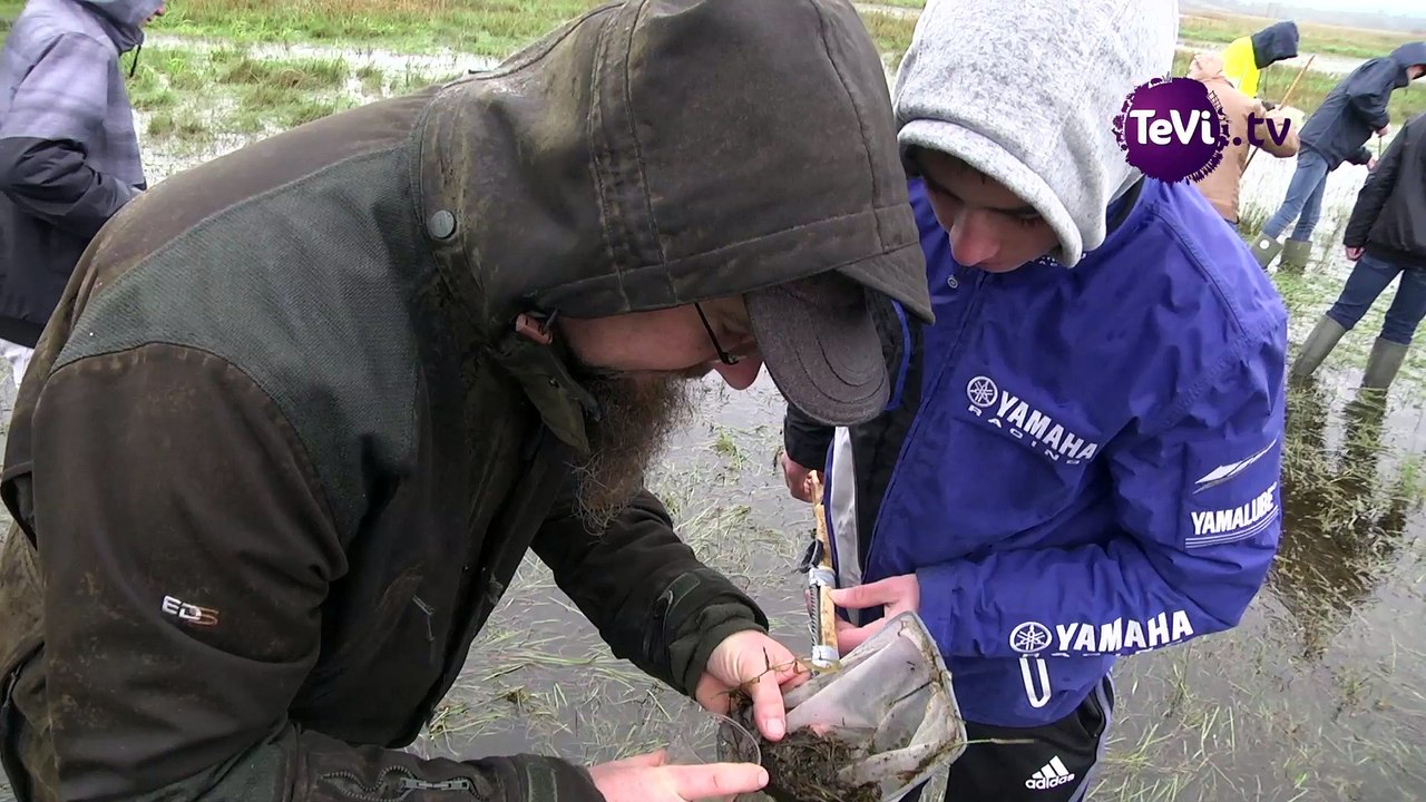 Découverte du gabion Fédé Chasseurs (50)
