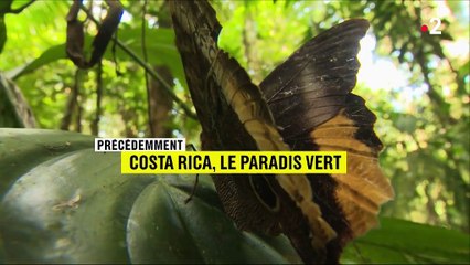 Feuilleton : Costa Rica, le paradis vert (3/5)