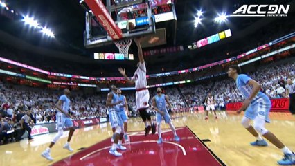 Deng Adel Official Highlights | Louisville