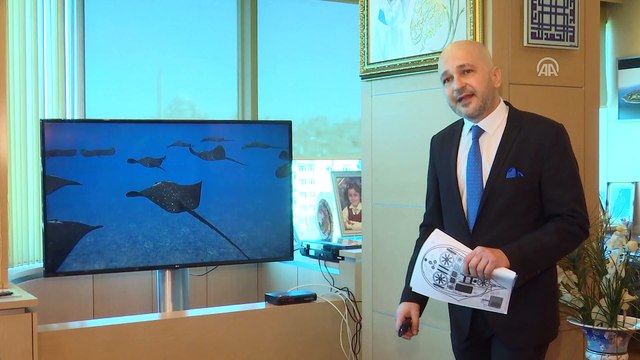 Yerli silahlı insansız deniz aracı geliyor - İSTANBUL