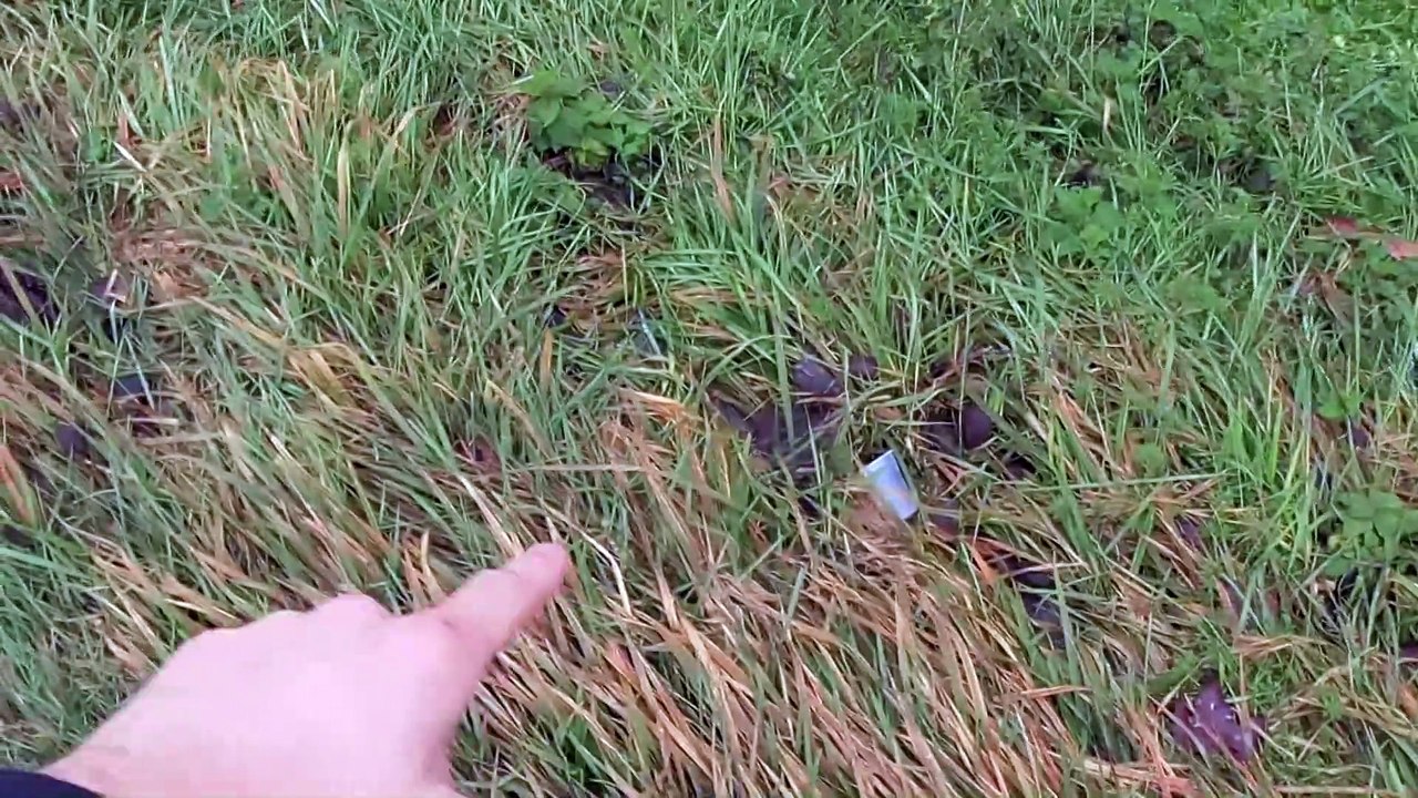 FIUME MUSONE MONTESI CASTELFIDARDO 6 MARZO 2018